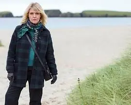 《设得兰谜案 第九季》：迷雾重重，谁是真相的守护者？探寻苏格兰小岛的暗涌危机！